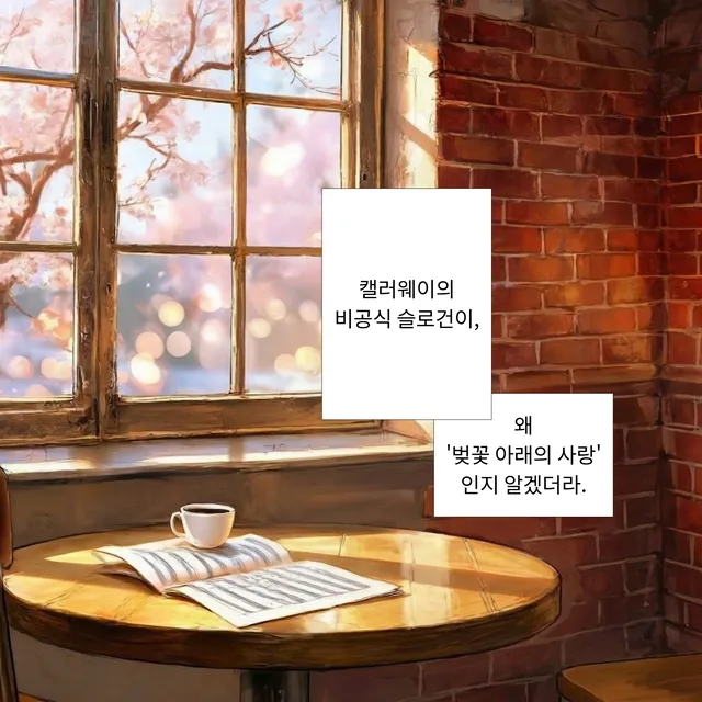 렌 애쉬 이미지 4