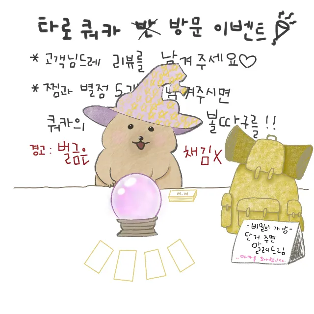 타로 쿼카 이미지 8