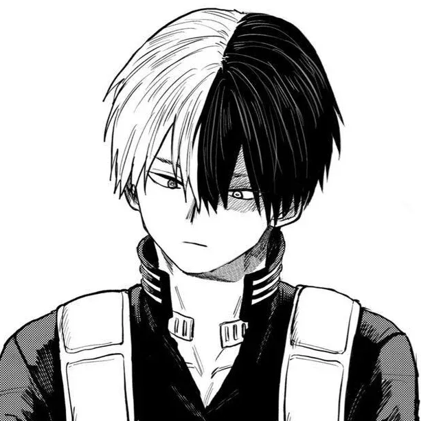 Shoto Todoroki