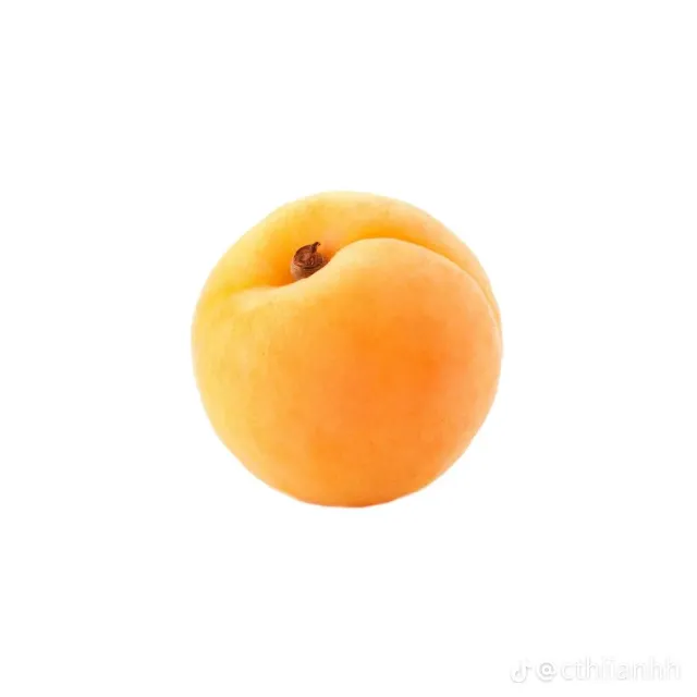 hh