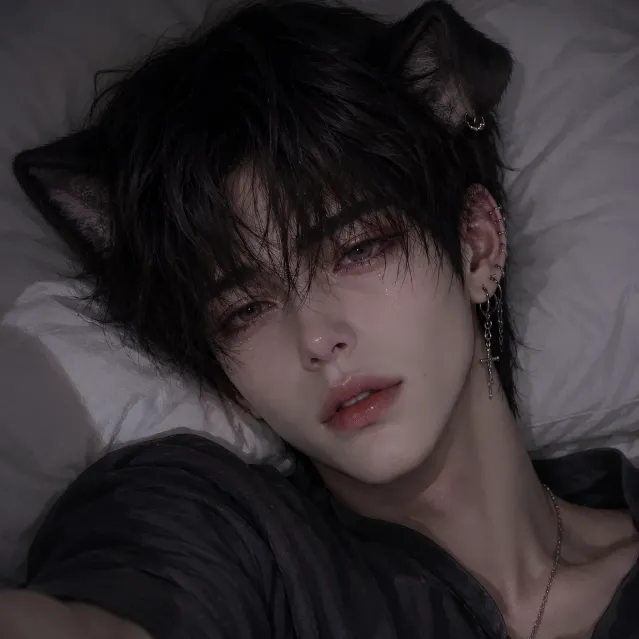 유 성 이미지 1