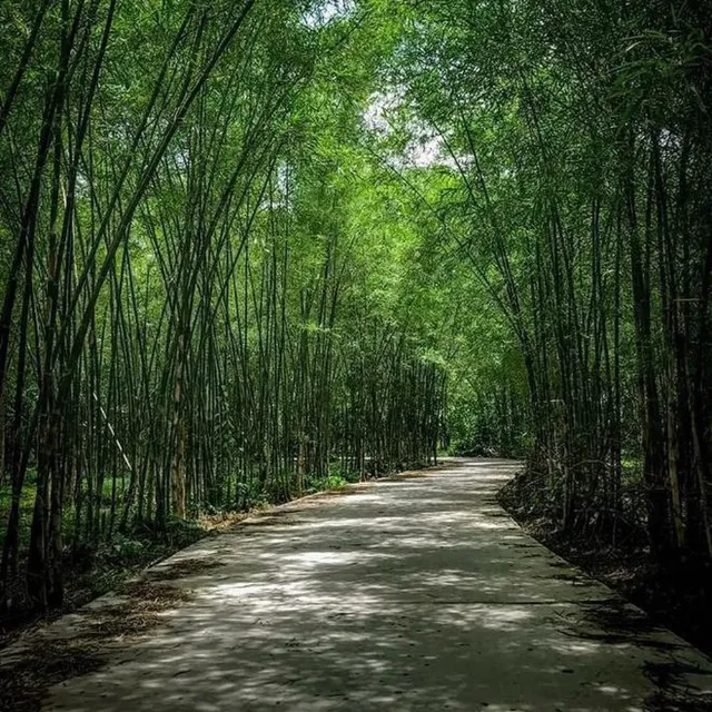 Thanh Dương Tông