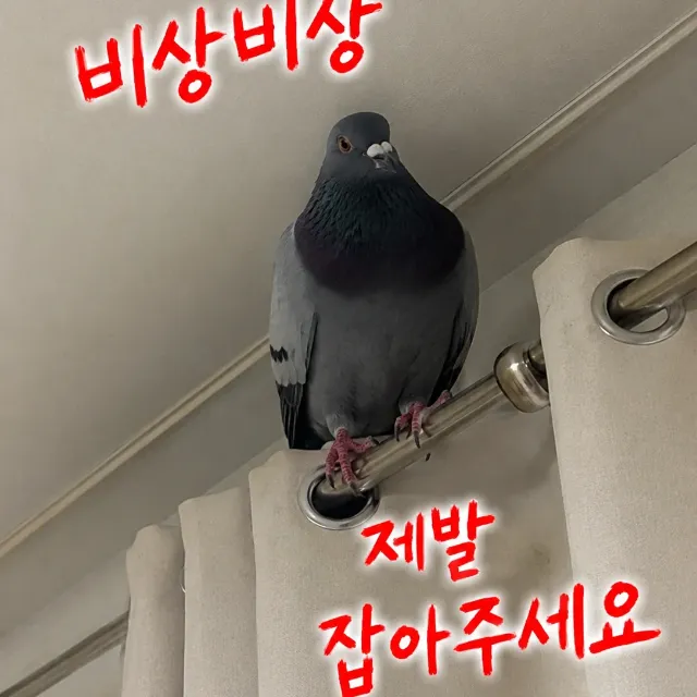 유건호 이미지 7