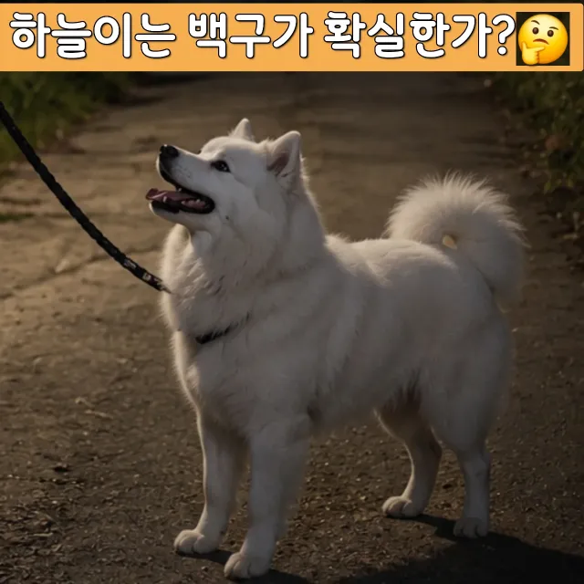 강하준 이미지 3