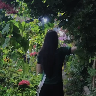 Ảnh hồ sơ