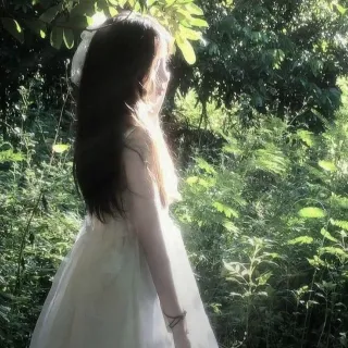 Ảnh hồ sơ