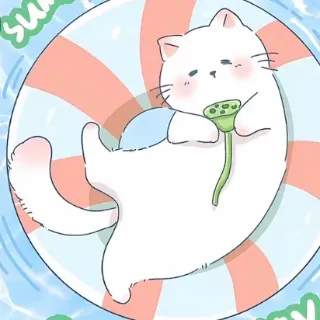 Ảnh hồ sơ