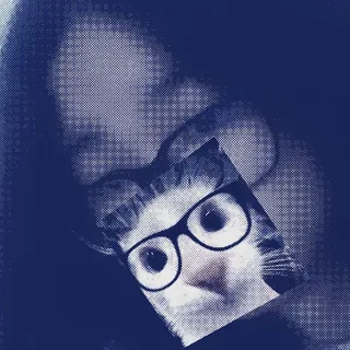 Ảnh hồ sơ