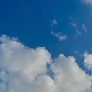 Ảnh hồ sơ