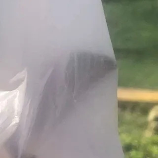 Ảnh hồ sơ
