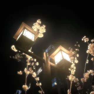 Ảnh hồ sơ