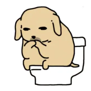 Ảnh hồ sơ