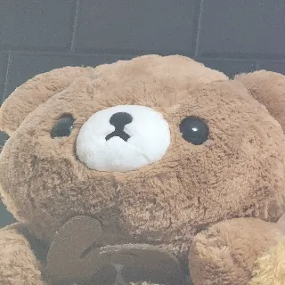 個人檔案圖片