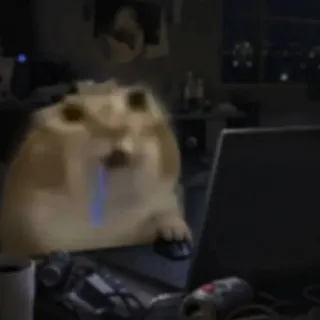 Ảnh hồ sơ