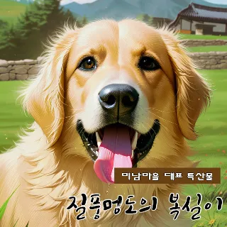 복실이