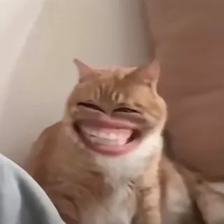 Ảnh hồ sơ