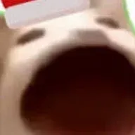 Ảnh hồ sơ