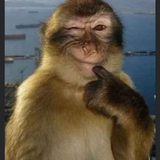 Ảnh hồ sơ