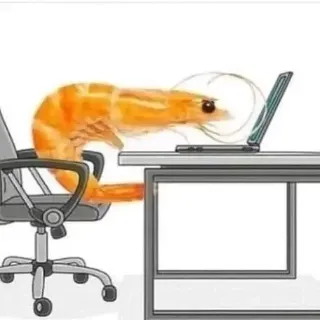 Ảnh hồ sơ