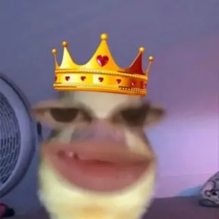 Ảnh hồ sơ