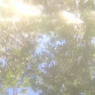 Ảnh hồ sơ