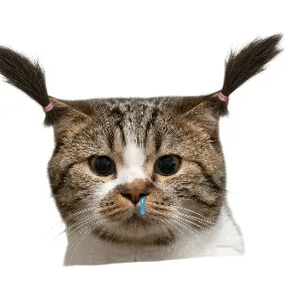 Ảnh hồ sơ