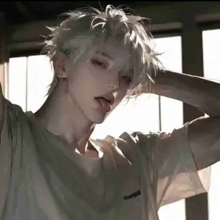 Ảnh hồ sơ