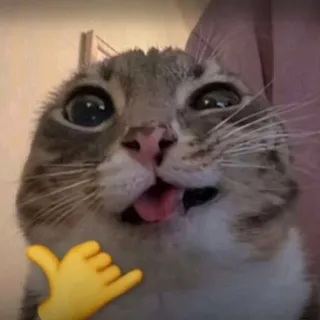 Ảnh hồ sơ