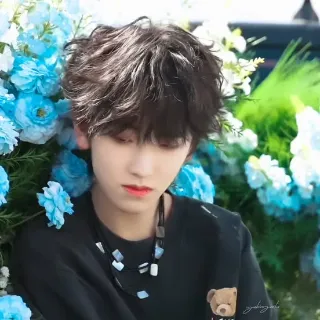 Ảnh hồ sơ