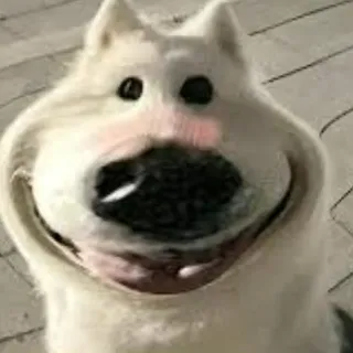 Ảnh hồ sơ