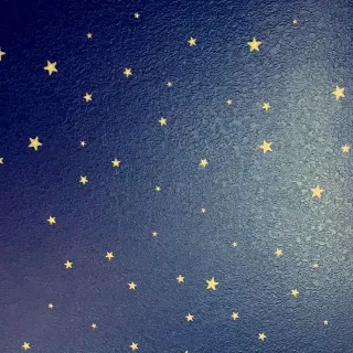 Ảnh hồ sơ