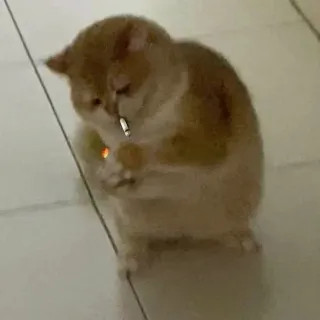 Ảnh hồ sơ