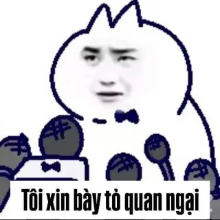 Ảnh hồ sơ