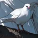 Kou