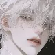 제제009