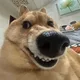 제롱