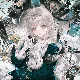 莉莉丝