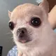 멍멍멍