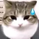 카힐로티아
