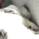 Iluvmycat