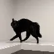 새달