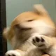 미명