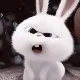 키쿠
