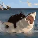 Nhhfufut
