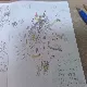 ユンバルクイナ