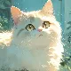 새벽새벽