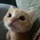 BinmSike