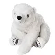Polar