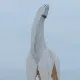 ChickenBird8888