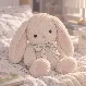 바니당근